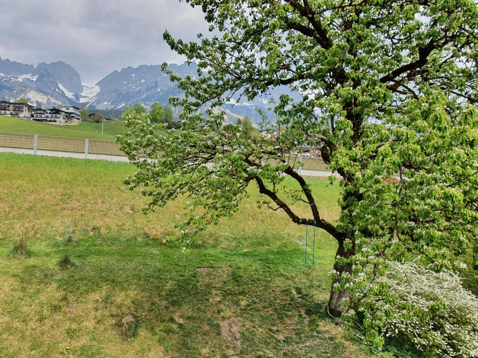 Haus Strobler Apartman Going am Wilden Kaiser Szoba fotó